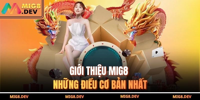 Giới thiệu MIG8 những điều cơ bản nhất